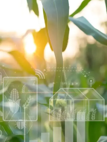 sector agrario